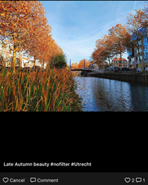 荷兰蒂尔堡大学TIAS英国365集团网站双学位硕士课程项目